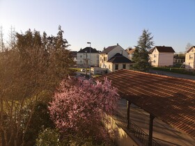 Private & Comfortable Apartments