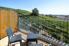 Best Western Hôtel le Schoenenbourg