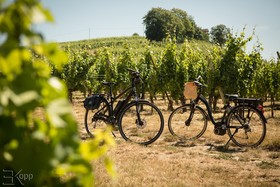 Château d’Isenbourg