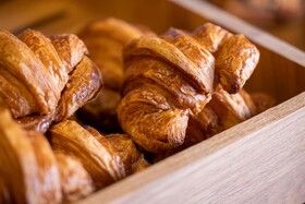 Hôtel Diana Dauphine