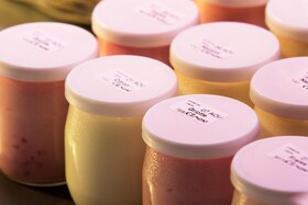 Hôtel Diana Dauphine