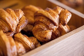 Hôtel Diana Dauphine