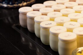 Hôtel Diana Dauphine