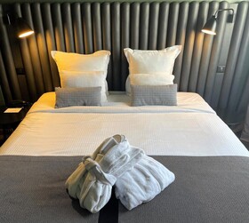 Hôtel Diana Dauphine