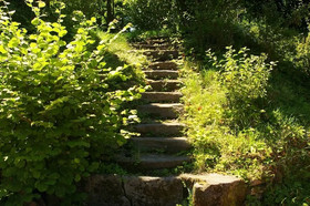Gite Les Roseaux