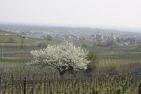 Auberge Du Brand