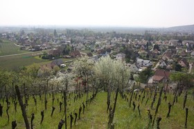 Auberge Du Brand