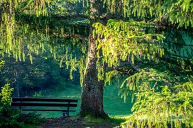 Relais du Silence Les Buttes