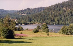 Les Myrtilles