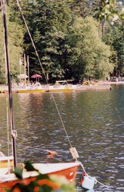 Les Myrtilles