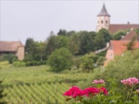 Hôtel Au Riesling