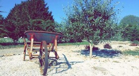 Le Domaine Du Rossignon