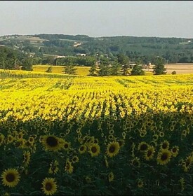 Le Domaine Du Rossignon