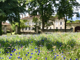 Château Rouge 47