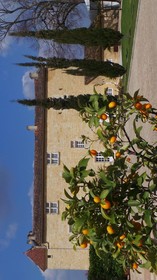 Chateau Isabeau De Naujan
