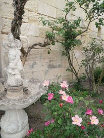 Le Clos D'Emilion
