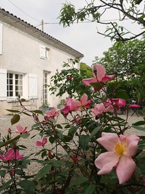 Le Clos D'Emilion