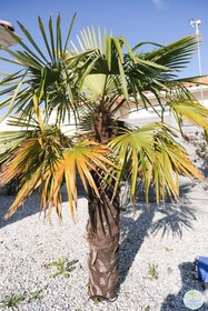 Biscarrosse Bourg Villa Avec Piscine