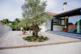 Canopée