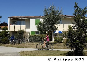 VVF Villages Ars-en-Ré