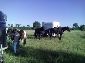 Camping de Kernéjeune