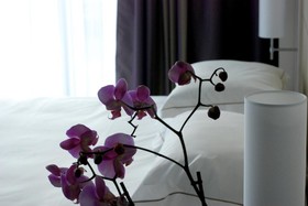 Hôtel Relais Thalasso Kastel
