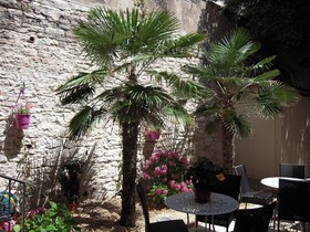 ALFRED HOTELS 64.02 Biarritz Port Vieux