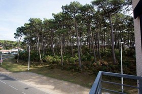 Les Jardins De L'Ocean