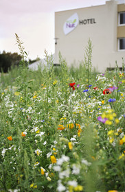 Sure Hotel By Best Western Guerande