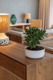 Hôtel IBAÏA