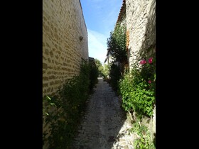 Maison Salicorne