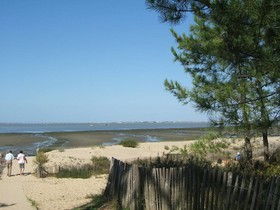 Le Héron Cendré