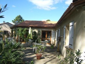 Le Héron Cendré