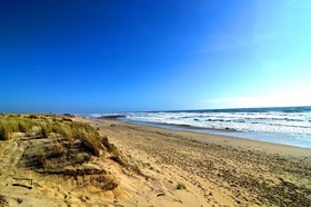 LA PALMYRE La Grande Baie