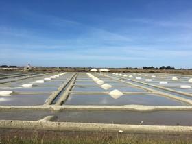 Domaine Hortensias