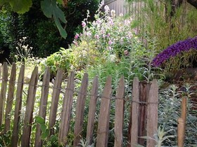 Un Jardin Sur La Dune