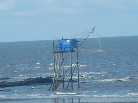 Beau T2 Tharon