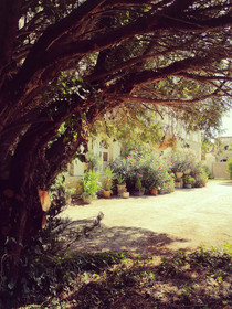 Domaine De Rochebonne