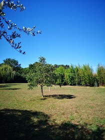 Domaine De Rochebonne