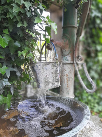 Domaine De Rochebonne