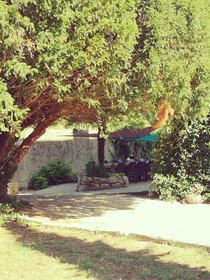 Domaine De Rochebonne