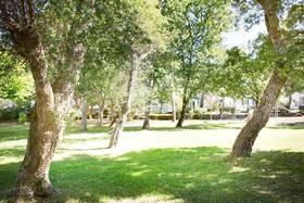 Cap Océan