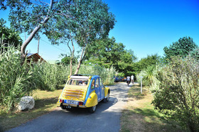 Camping Aqua 3 Masses