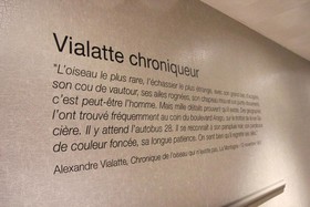 Hotel Litteraire Alexandre Vialatte, BW Signature Collection