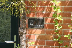 Les Amouhoques