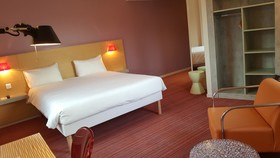 ibis Styles Le Puy en Velay Hotel