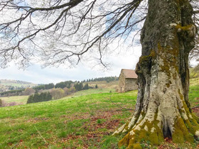 Eco Yourte Les Airelles D'Isabelle