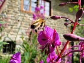 Eco Yourte Les Airelles D'Isabelle
