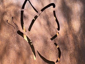Ecogîte Les Papillons Des Sucs