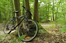 Hotel des Bains et Résidences